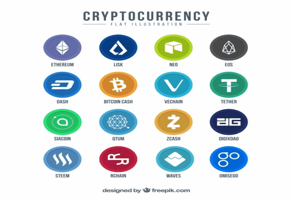 Beginner's Crypto Business Guide