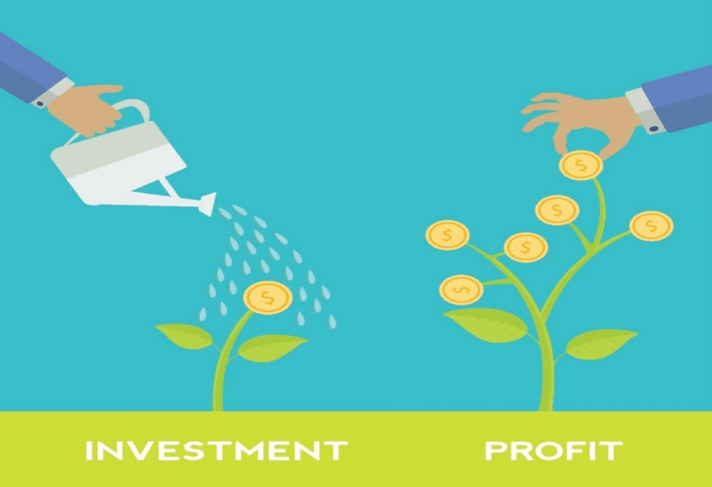 E-commerce Business Investment