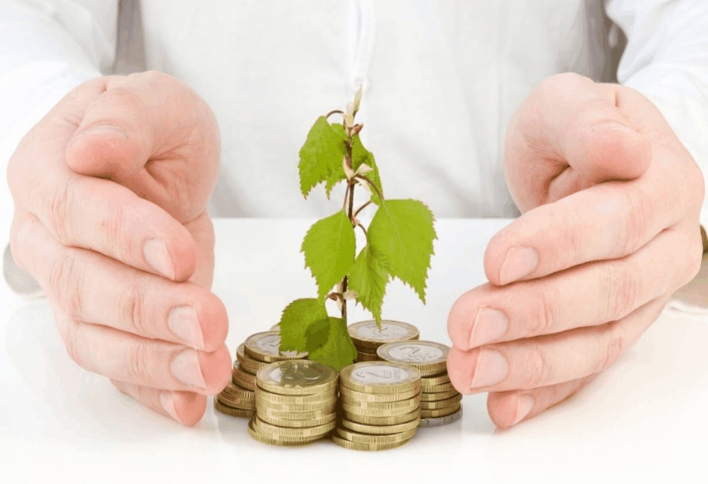 Profitable Business Investment