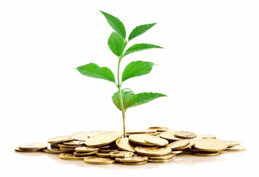 Business Investment Services